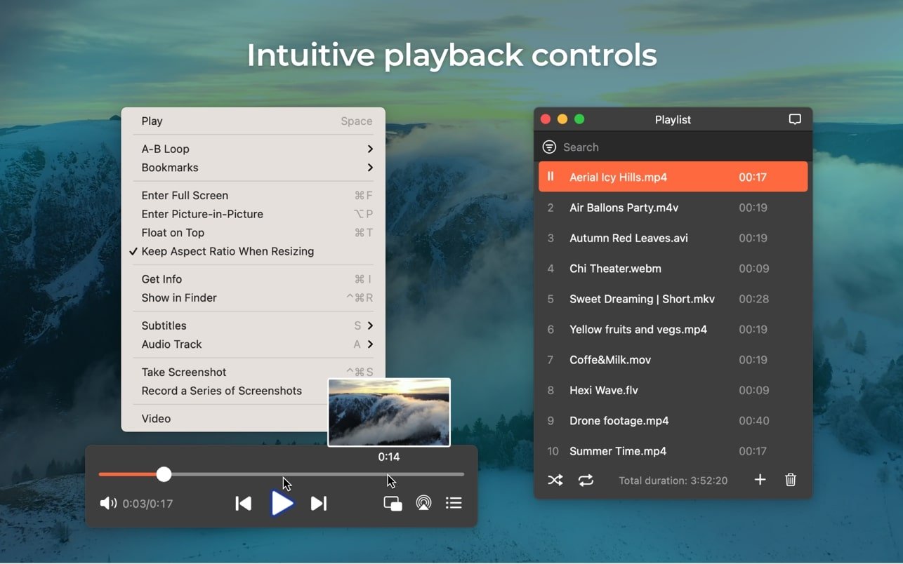 Elmedia Video Player Pro screenshot 2